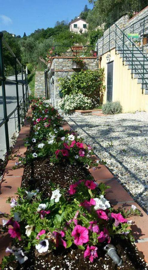 B&B Le Colline Di Bana Camogli Zewnętrze zdjęcie