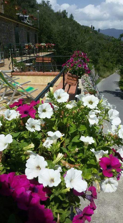 B&B Le Colline Di Bana Camogli Zewnętrze zdjęcie