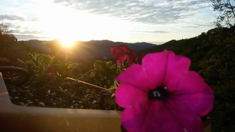 B&B Le Colline Di Bana Camogli Zewnętrze zdjęcie